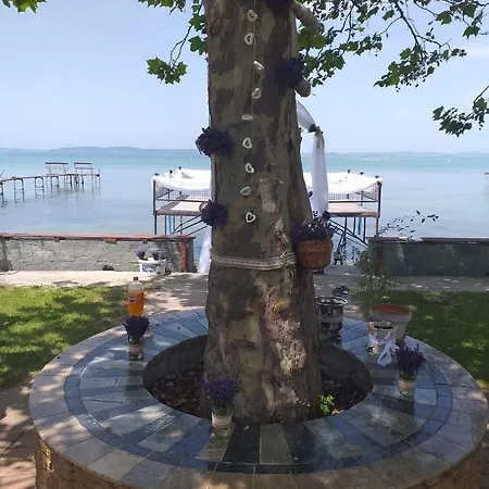 Granit 게스트하우스 3*